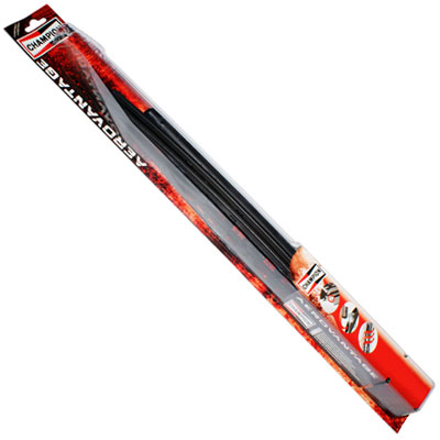 SK55/B02
